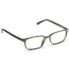 Peepers Women's Memphis Blue Light Reading Glasses -Outdoor women's clothing store Peepers 3107 Tortoise 1angle