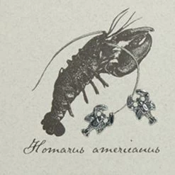 Semaki & Bird, Ltd. Women's Sterling Silver Lobster Earring -Outdoor women's clothing store Sterling Silver Lobster Earring CARD