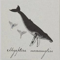 Semaki & Bird, Ltd. Women's Sterling Silver Whale Tail Earring