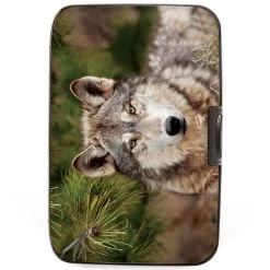 Fig Design Women's Monarque Wolf RFID Armored Wallet